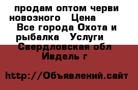 продам оптом черви новозного › Цена ­ 600 - Все города Охота и рыбалка » Услуги   . Свердловская обл.,Ивдель г.